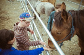 Stride Alaska Adult Horse Therapy 600×400