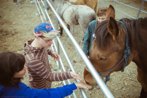 Stride Therapeutic Riding Therapy Gallery 7