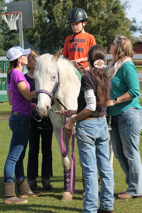 Stride Therapeutic Riding Therapy Gallery 18