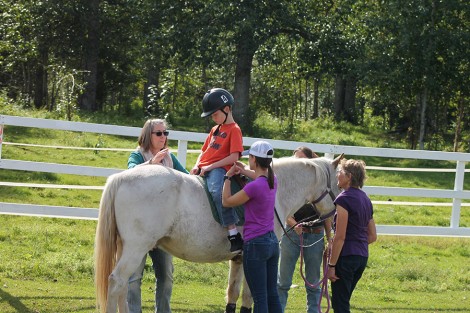 Stride Therapeutic Riding Therapy Gallery 19
