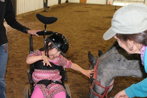 Stride Therapeutic Riding Therapy Gallery 23